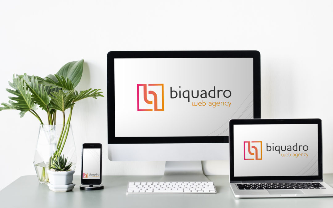 Brand idenity per Biquadro Web Agency