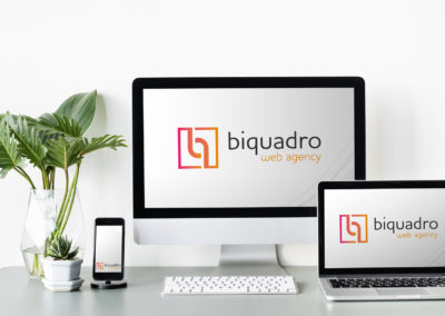 Brand idenity per Biquadro Web Agency