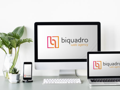 Brand idenity per Biquadro Web Agency